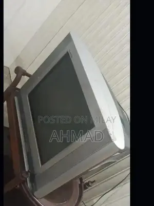 LG 21-Inch Television Display