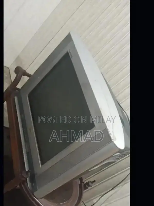 LG 21-Inch Television Display