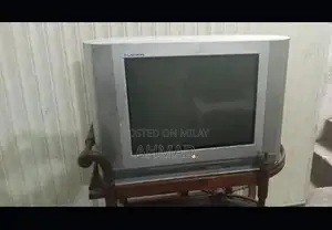 LG 21-Inch Television Display