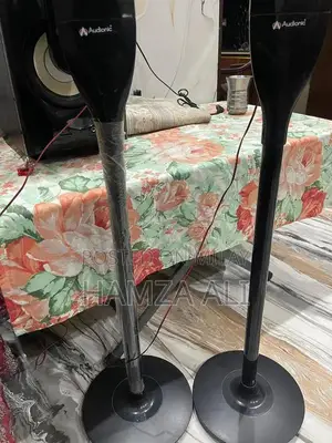 Audionic RB-95 Portable Wireless Speaker