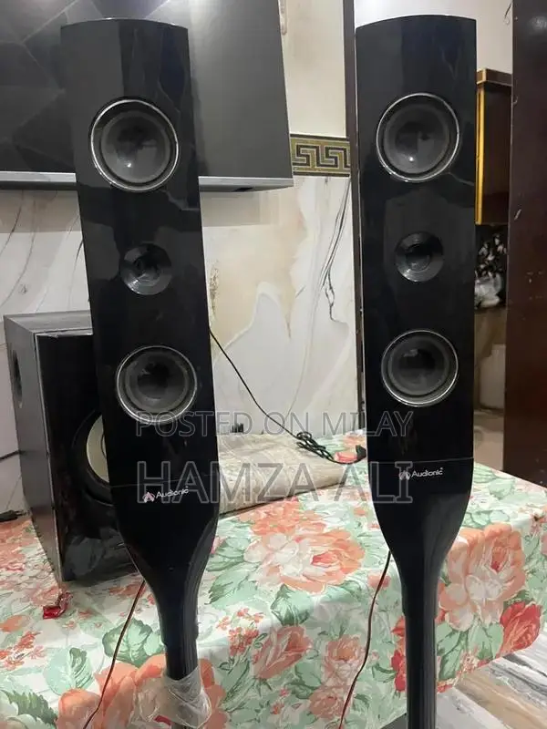 Audionic RB-95 Portable Wireless Speaker