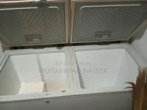 Large Capacity Deep Freezer for Home and Commercial Use