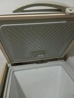 Large Capacity Deep Freezer for Home and Commercial Use