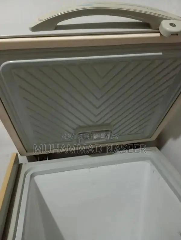 Large Capacity Deep Freezer for Home and Commercial Use