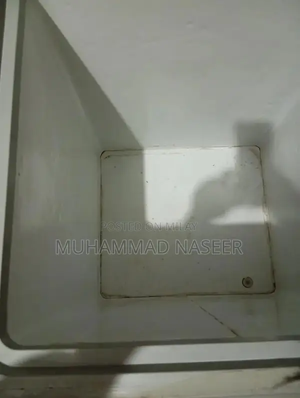 Large Capacity Deep Freezer for Home and Commercial Use