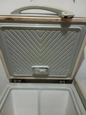 Large Capacity Deep Freezer for Home and Commercial Use