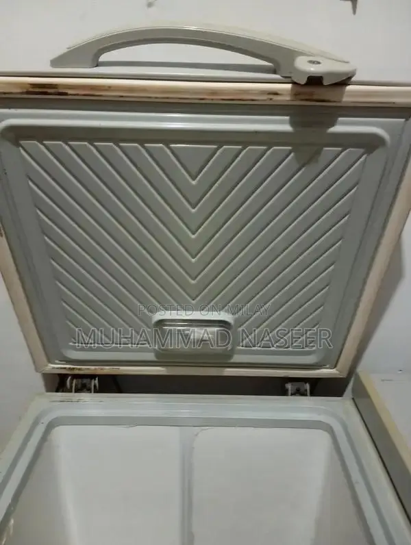 Large Capacity Deep Freezer for Home and Commercial Use