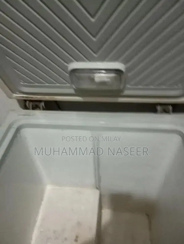 Large Capacity Deep Freezer for Home and Commercial Use