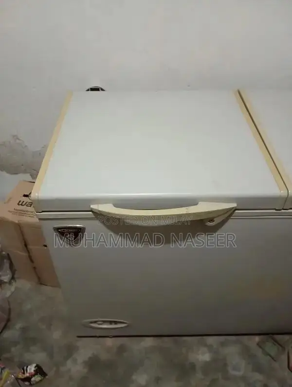 Large Capacity Deep Freezer for Home and Commercial Use