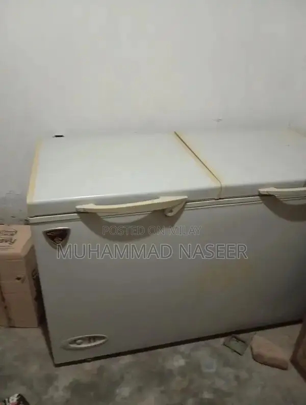 Large Capacity Deep Freezer for Home and Commercial Use