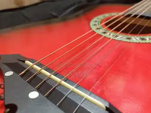 Musical Instrument Guitar in Pristine Condition with Carry Bag