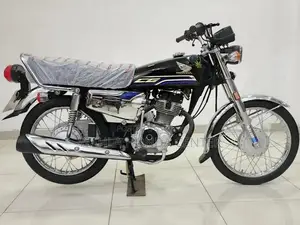 Honda CG-125 Motorcycle - 2024 Model Compact Street Bike