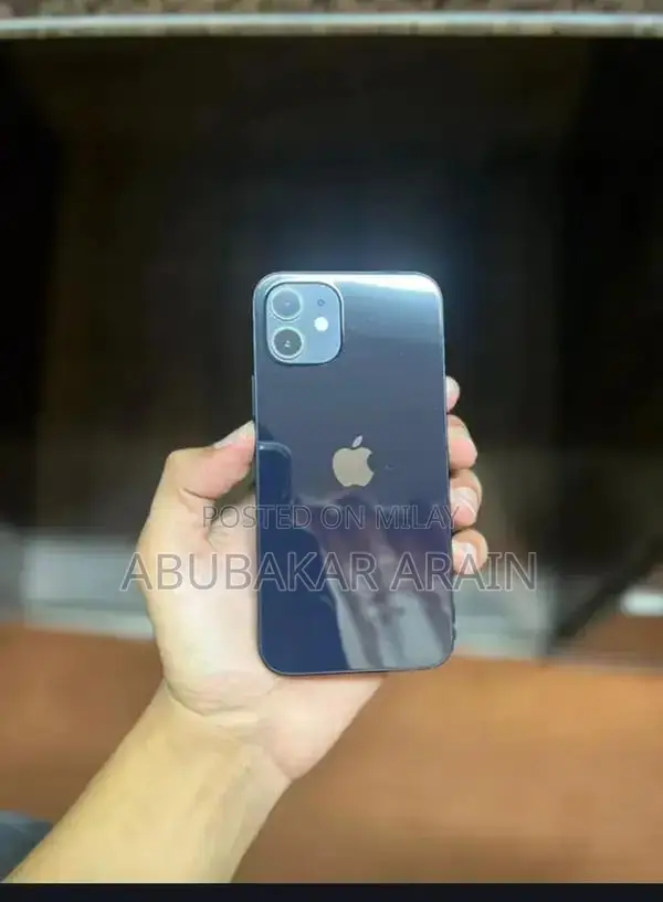 Apple iPhone 12 Unlocked Smartphone - 100% Battery Health