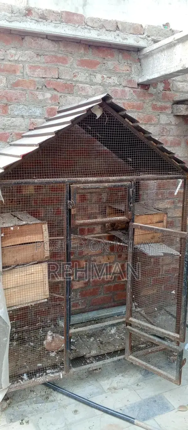 Multi-Purpose Pet Cage for Hens, Parrots, and Small Animals