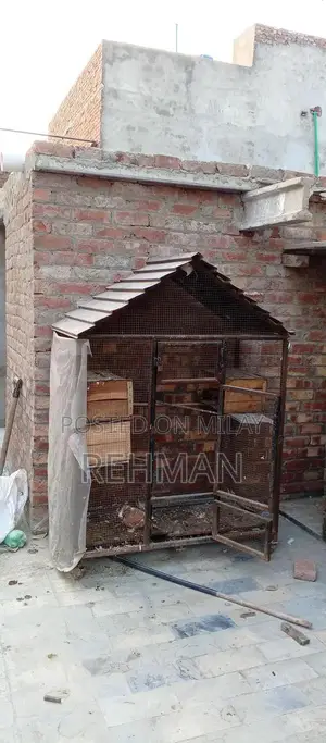 Multi-Purpose Pet Cage for Hens, Parrots, and Small Animals