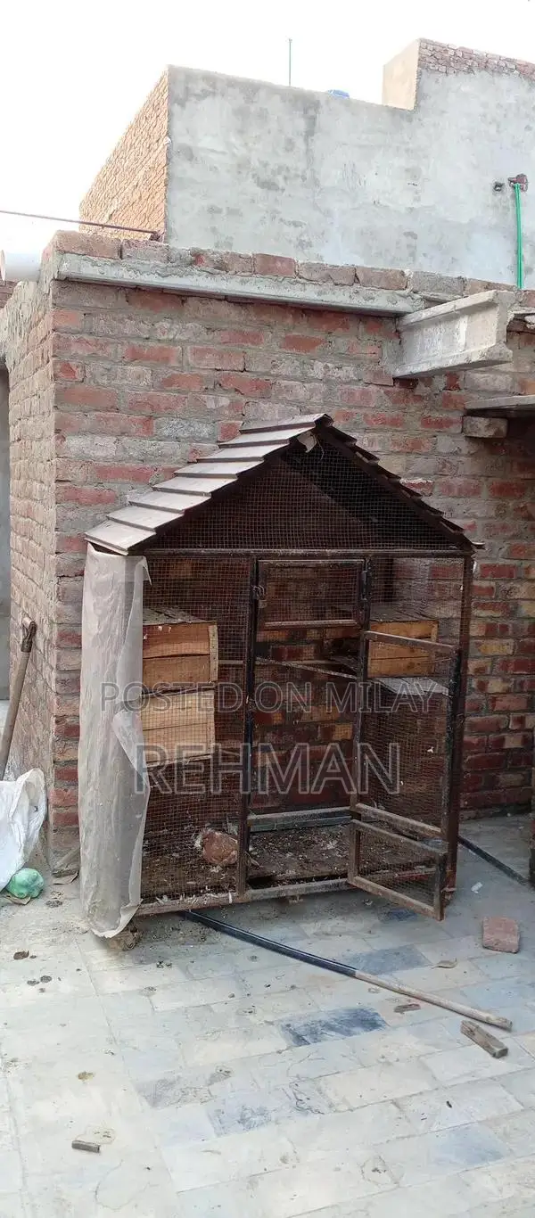 Multi-Purpose Pet Cage for Hens, Parrots, and Small Animals