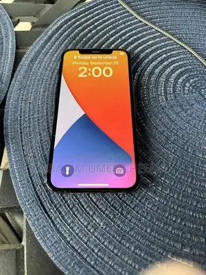 Apple Smartphone 256GB Pacific Blue Premium Condition