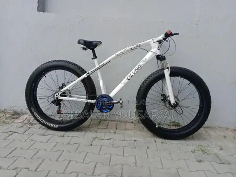Olvina Fat Tire Mountain Bike with Shimano Gears and Disc Brakes