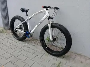 Olvina Fat Tire Mountain Bike with Shimano Gears and Disc Brakes