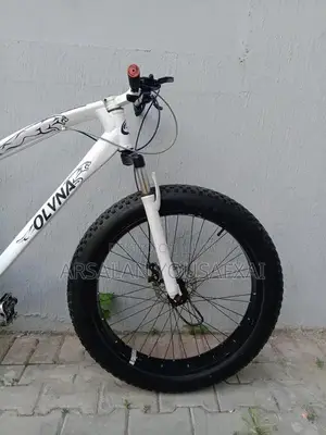 Olvina Fat Tire Mountain Bike with Shimano Gears and Disc Brakes