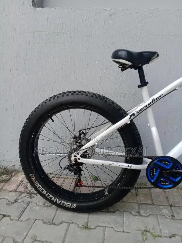 Olvina Fat Tire Mountain Bike with Shimano Gears and Disc Brakes