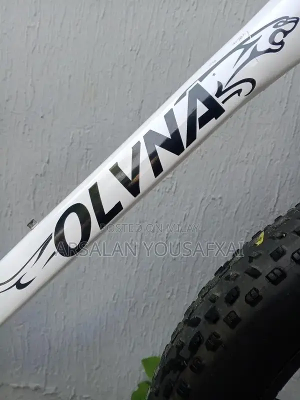 Olvina Fat Tire Mountain Bike with Shimano Gears and Disc Brakes