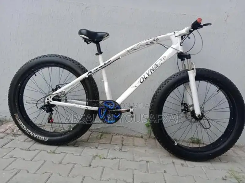 Olvina Fat Tire Mountain Bike with Shimano Gears and Disc Brakes