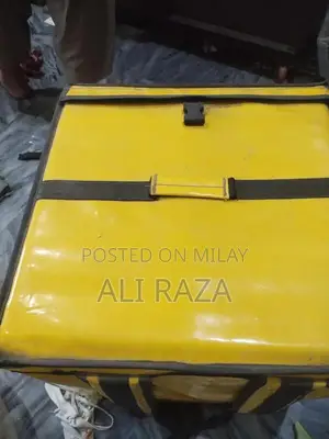 Professional Pizza Delivery Insulated Bag for Food Transport