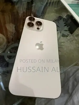 Apple iPhone Pro Max 256GB Titanium Smartphone