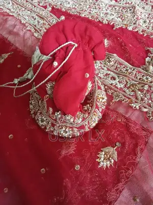 Elegant Indian Net Bridal Lehnga Choli Set - Custom Design