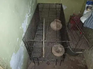 Large 3-Section Bird Cage with Multiple Compartments