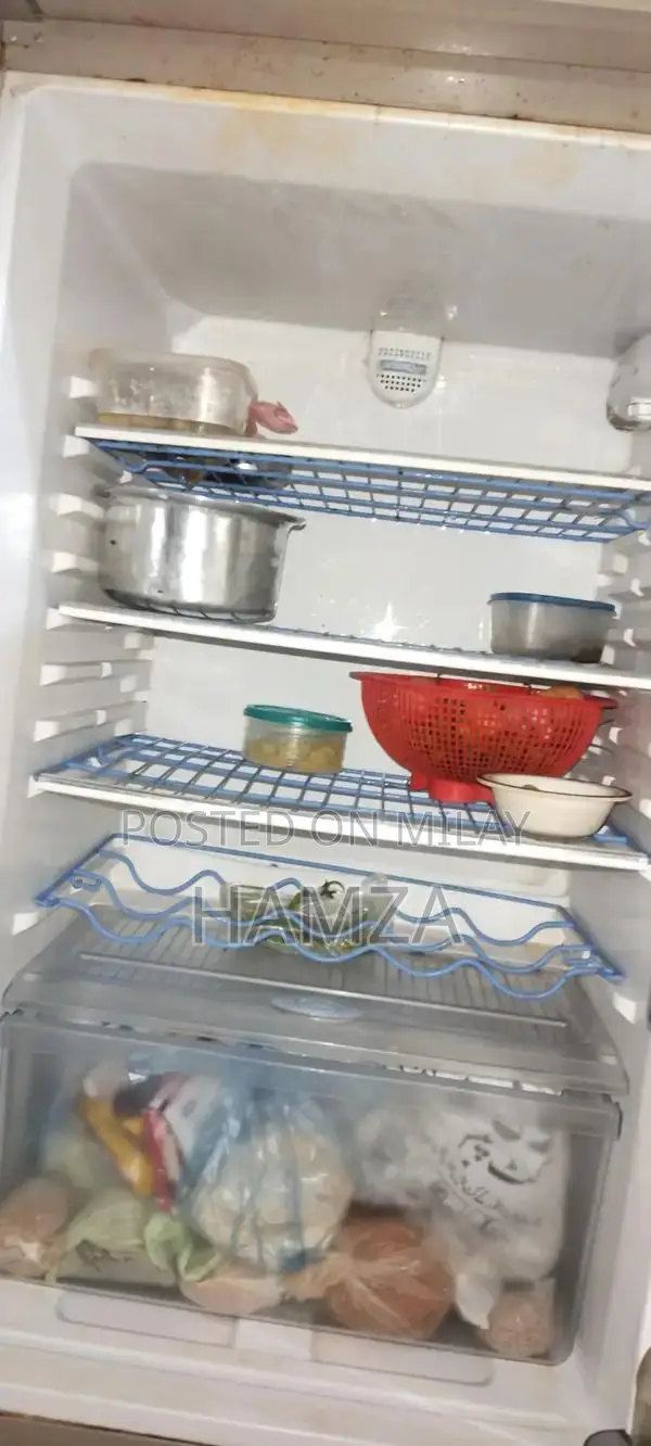 Compact Portable Hair Fridge Humidifier with Advanced Features