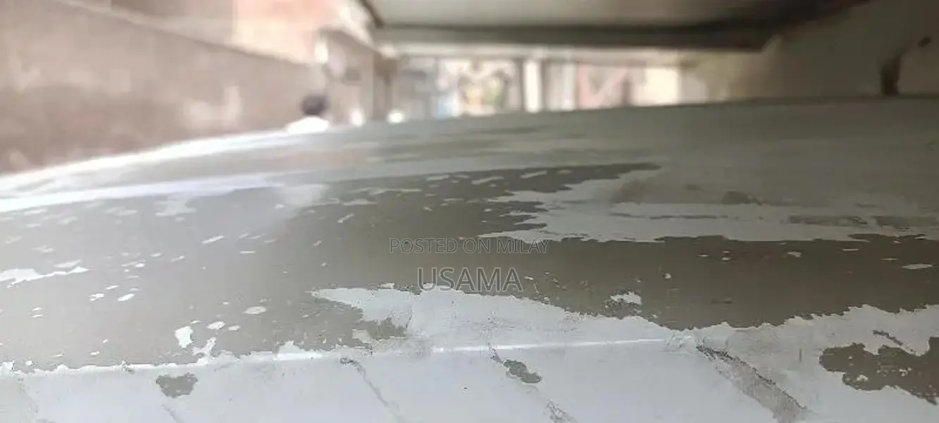 Suzuki Ravi 2008 Commercial Utility Vehicle with CNG