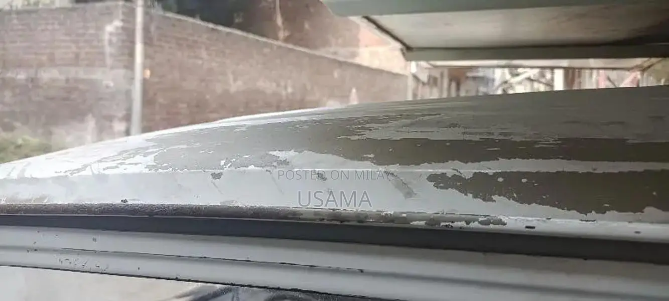 Suzuki Ravi 2008 Commercial Utility Vehicle with CNG