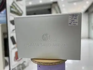 HP ProBook 450 G6 Laptop - 8th Gen Core i7, 512GB SSD