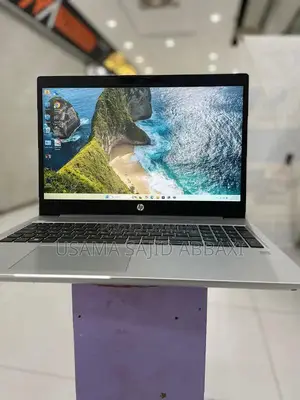 HP ProBook 450 G6 Laptop - 8th Gen Core i7, 512GB SSD