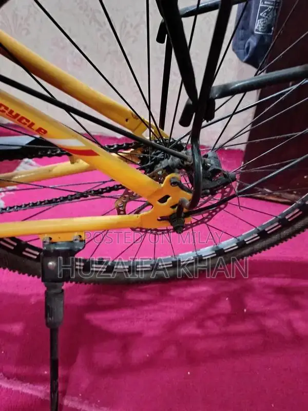 Sports Bicycle - Lightly Used Road/Mountain Bike