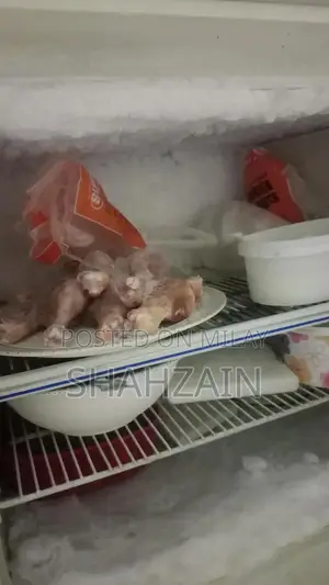 Dawalance Refrigerator with Advanced Cooling Technology