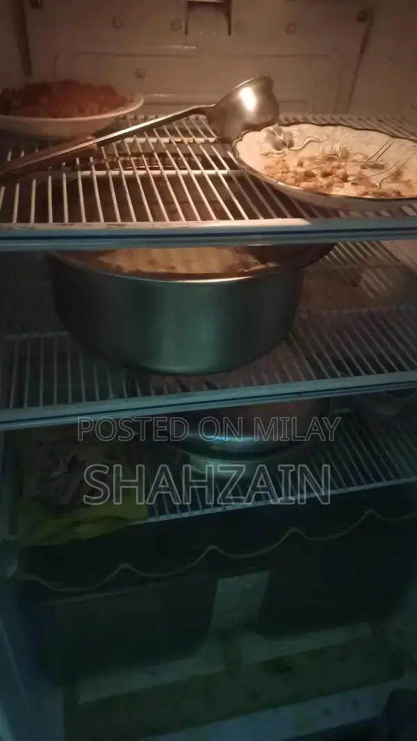 Dawalance Refrigerator with Advanced Cooling Technology