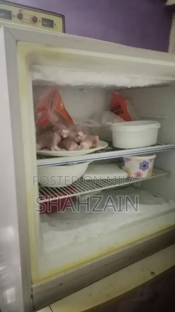 Dawalance Refrigerator with Advanced Cooling Technology