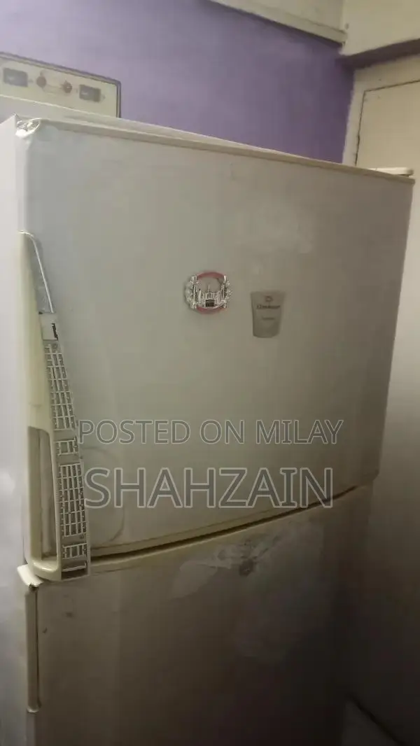 Dawalance Refrigerator with Advanced Cooling Technology