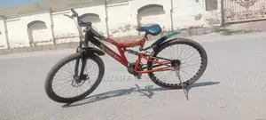 Phoenix Bicycle