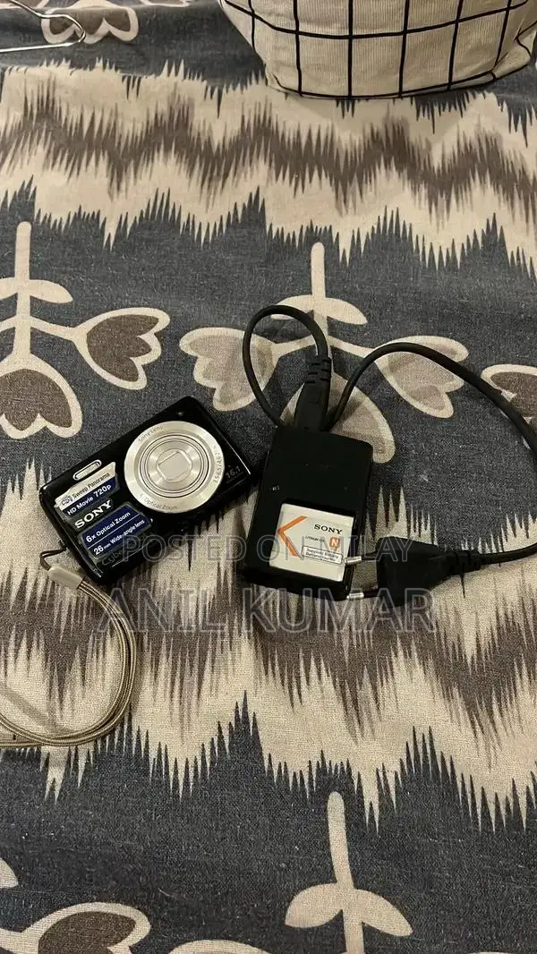 Sony Cyber-shot 16.1MP Digital Camera with 6x Optical Zoom