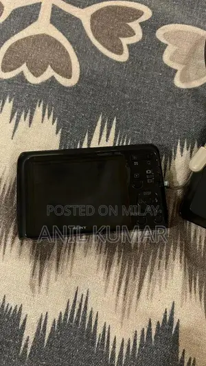 Sony Cyber-shot 16.1MP Digital Camera with 6x Optical Zoom