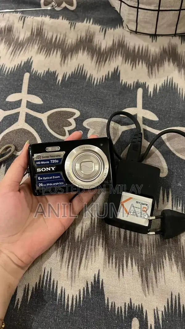 Sony Cyber-shot 16.1MP Digital Camera with 6x Optical Zoom