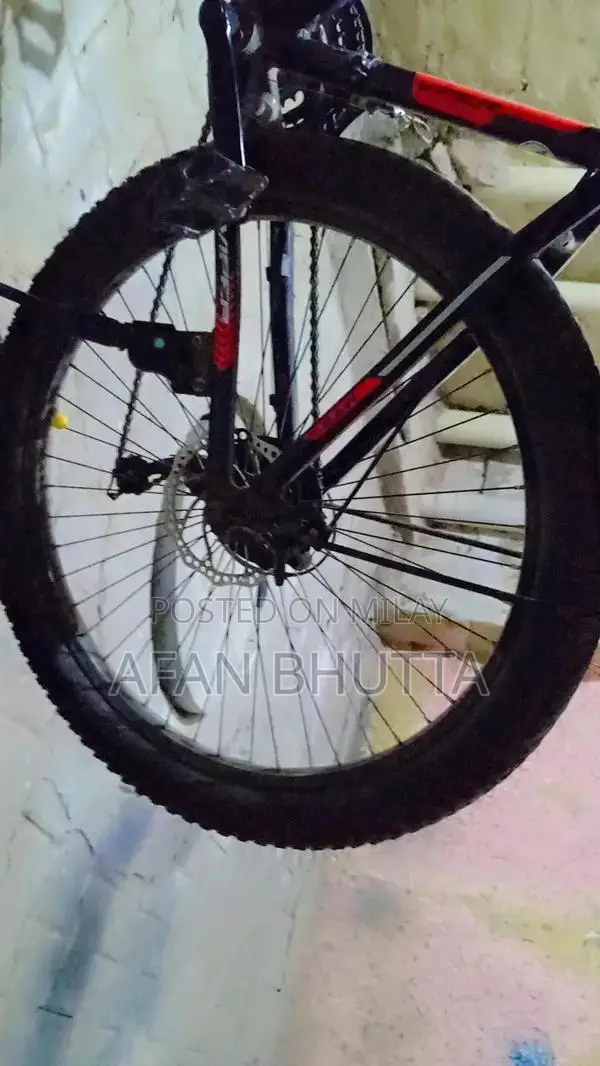 Newly Serviced Bicycle with New Stand, Tubes, and Tires