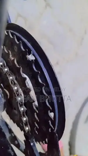 Newly Serviced Bicycle with New Stand, Tubes, and Tires