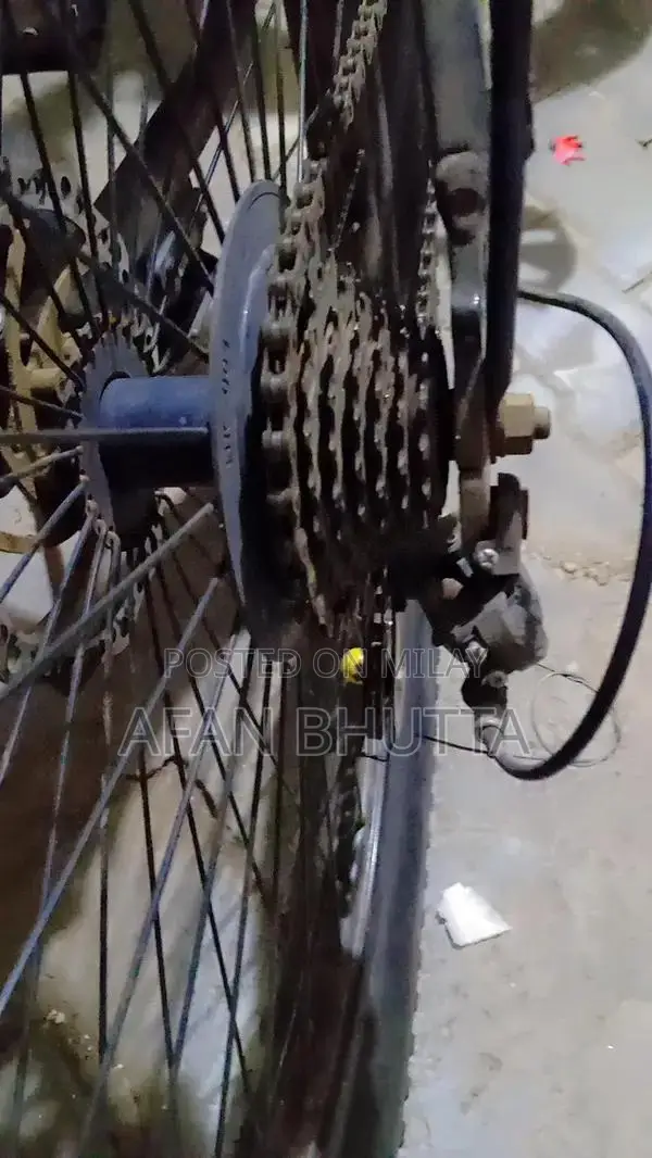 Newly Serviced Bicycle with New Stand, Tubes, and Tires