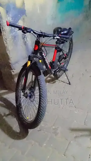 Newly Serviced Bicycle with New Stand, Tubes, and Tires