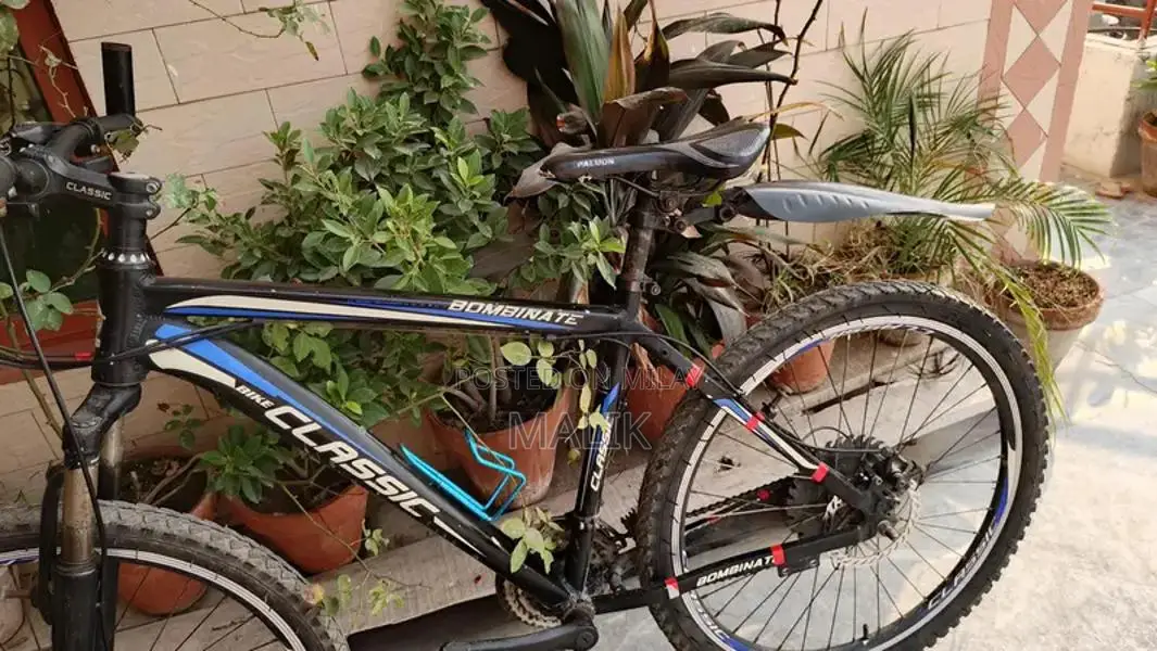 26-Inch Cycle with New Tires - Well-Maintained Condition